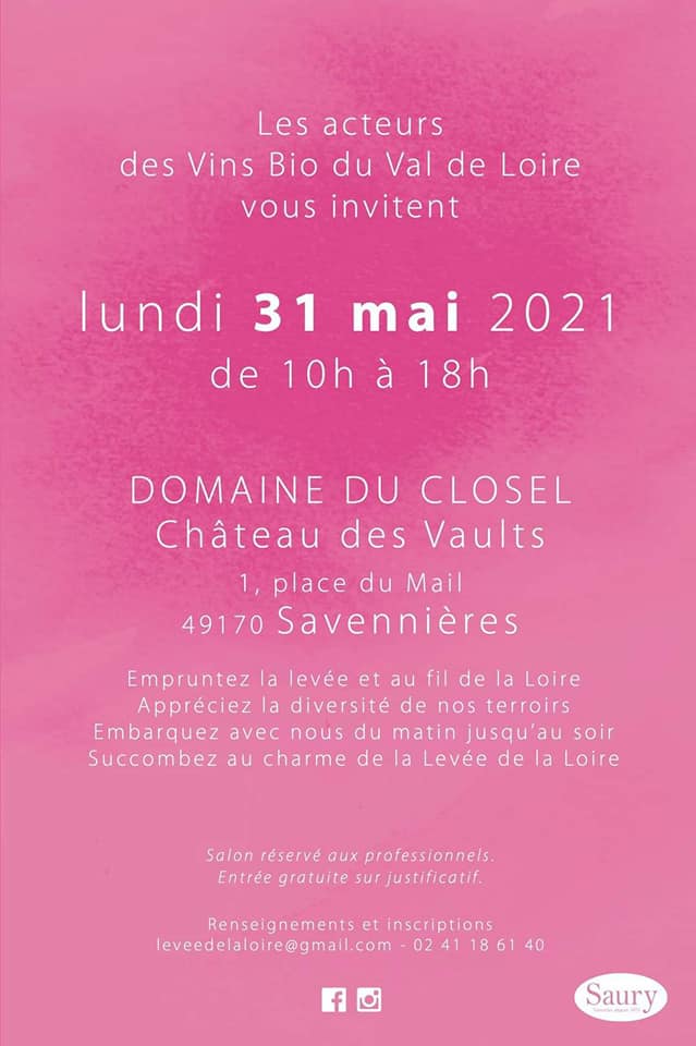affiche de l'évènement de la Levée de la Loire